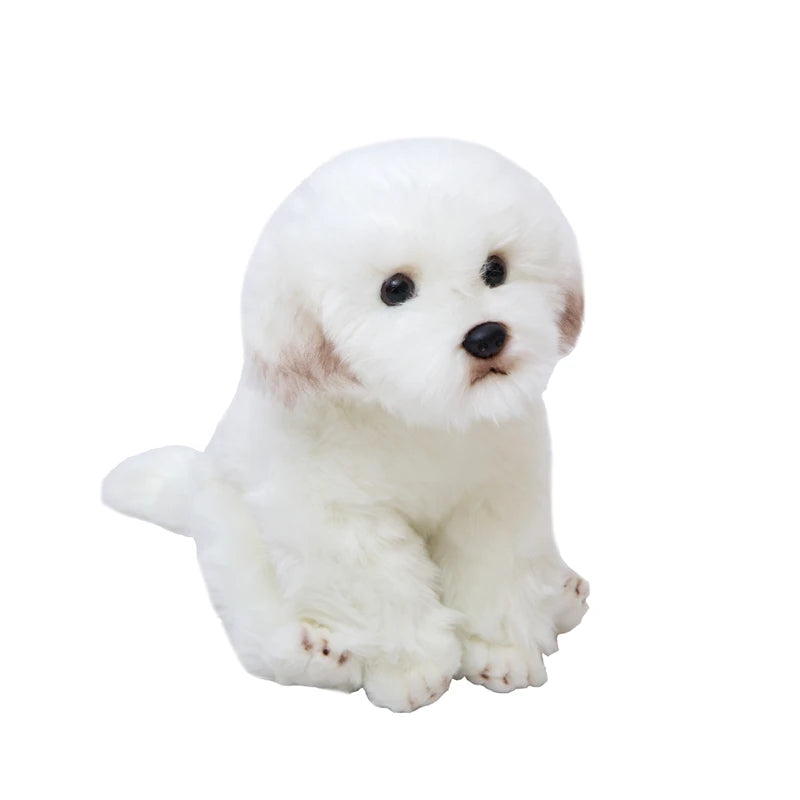 Maltese Dog Plush