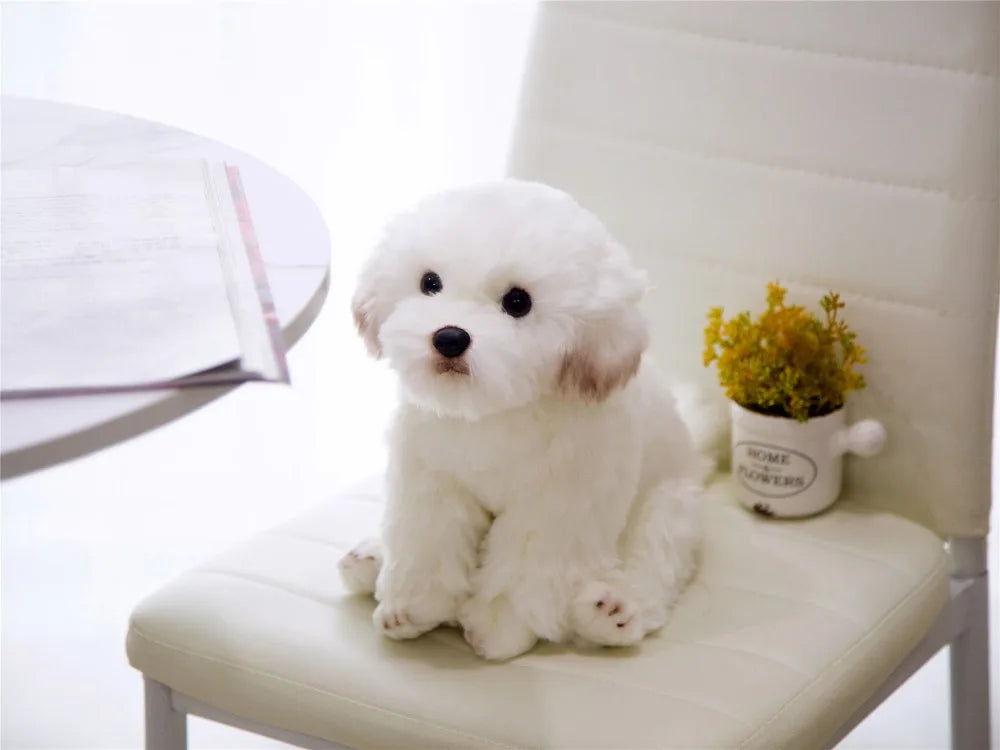 Maltese Dog Plush