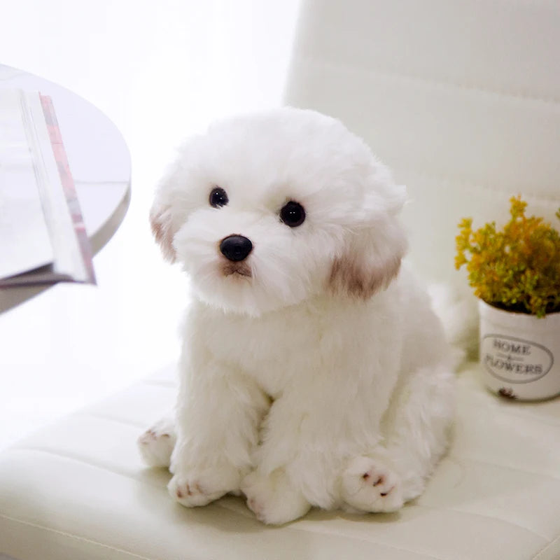 Maltese Dog Plush