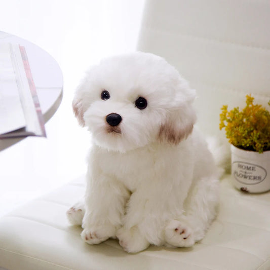 Maltese Dog Plush