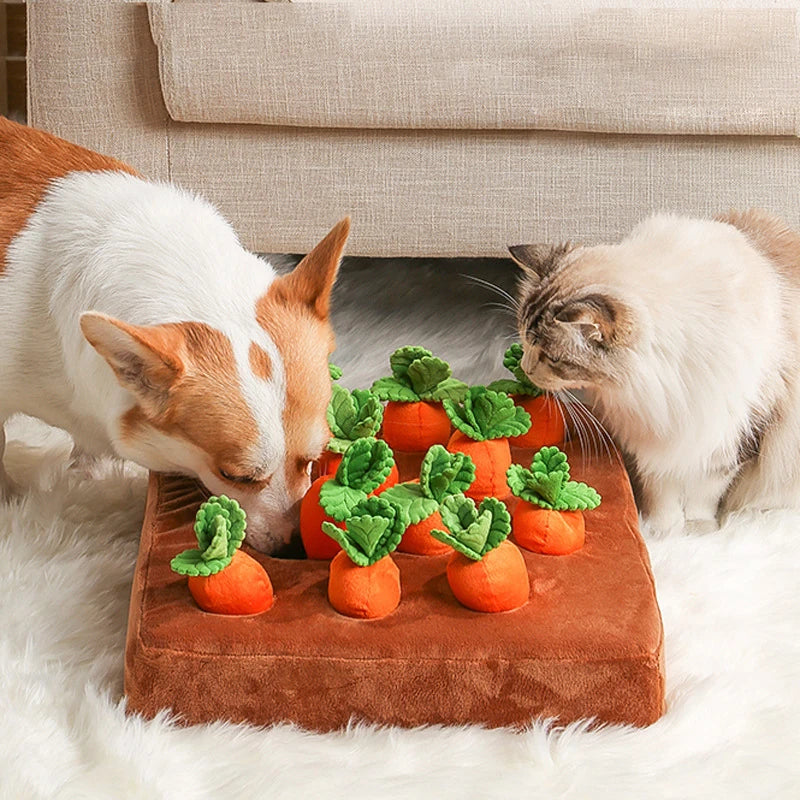 Dog Toy Carrot Plush Vegetable Sniff Treat Mat